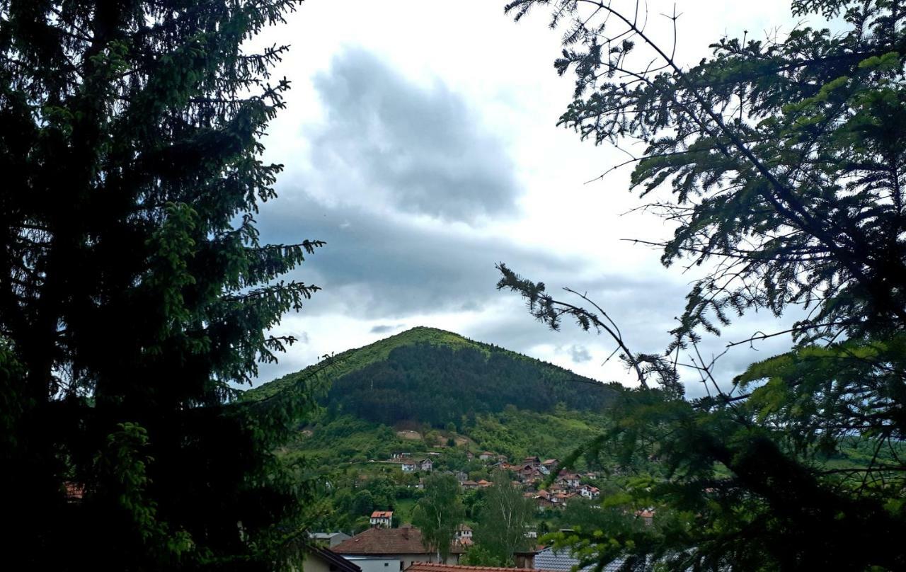 Obiteljski Apartman Borovi Visoko Extérieur photo